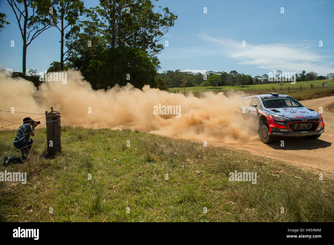 Coffs Harbour, Australia.Saturday, 19. November 2016. Wertungsprüfung 16 Valla. Thierry Neuville, Hyundai Motorsport World Rally Team. Bildnachweis: Russell Hunter/Alamy Live-Nachrichten Stockfoto