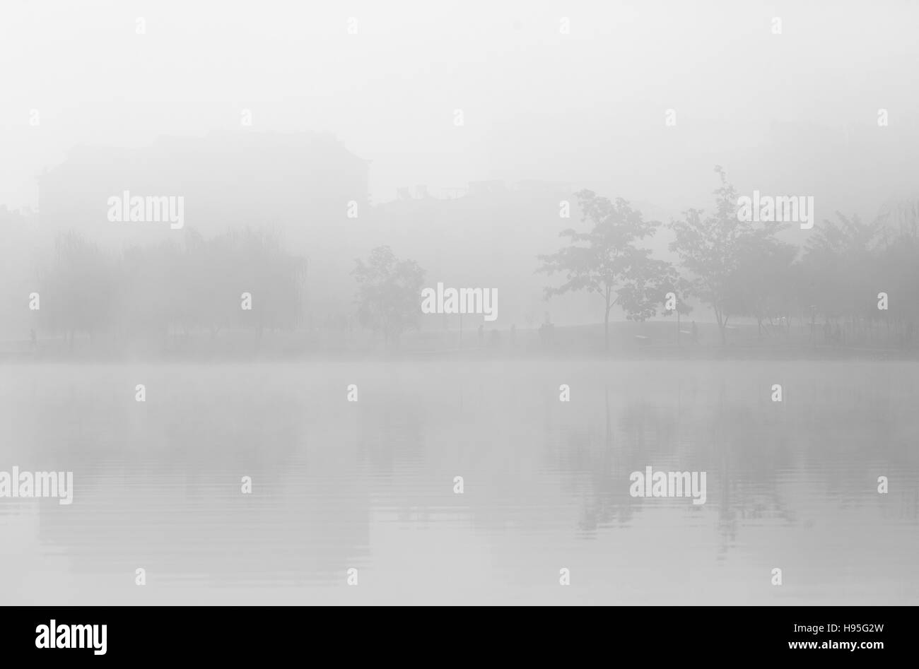 Wälder und Seen im Nebel Stockfoto