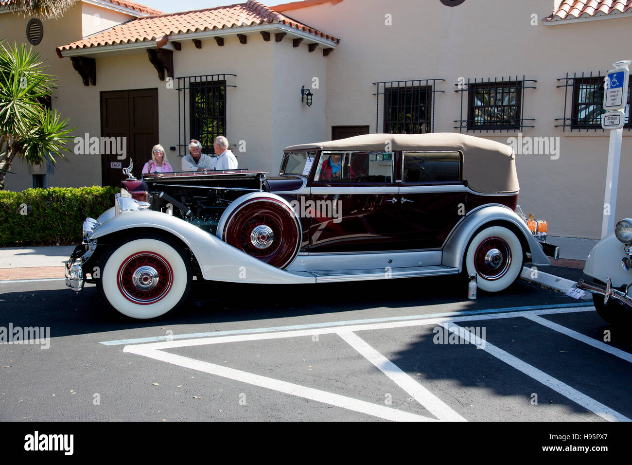 Zwölf Packard bei der Naples-Marco Island antike Automobile zeigen in Naples, Florida Stockfoto