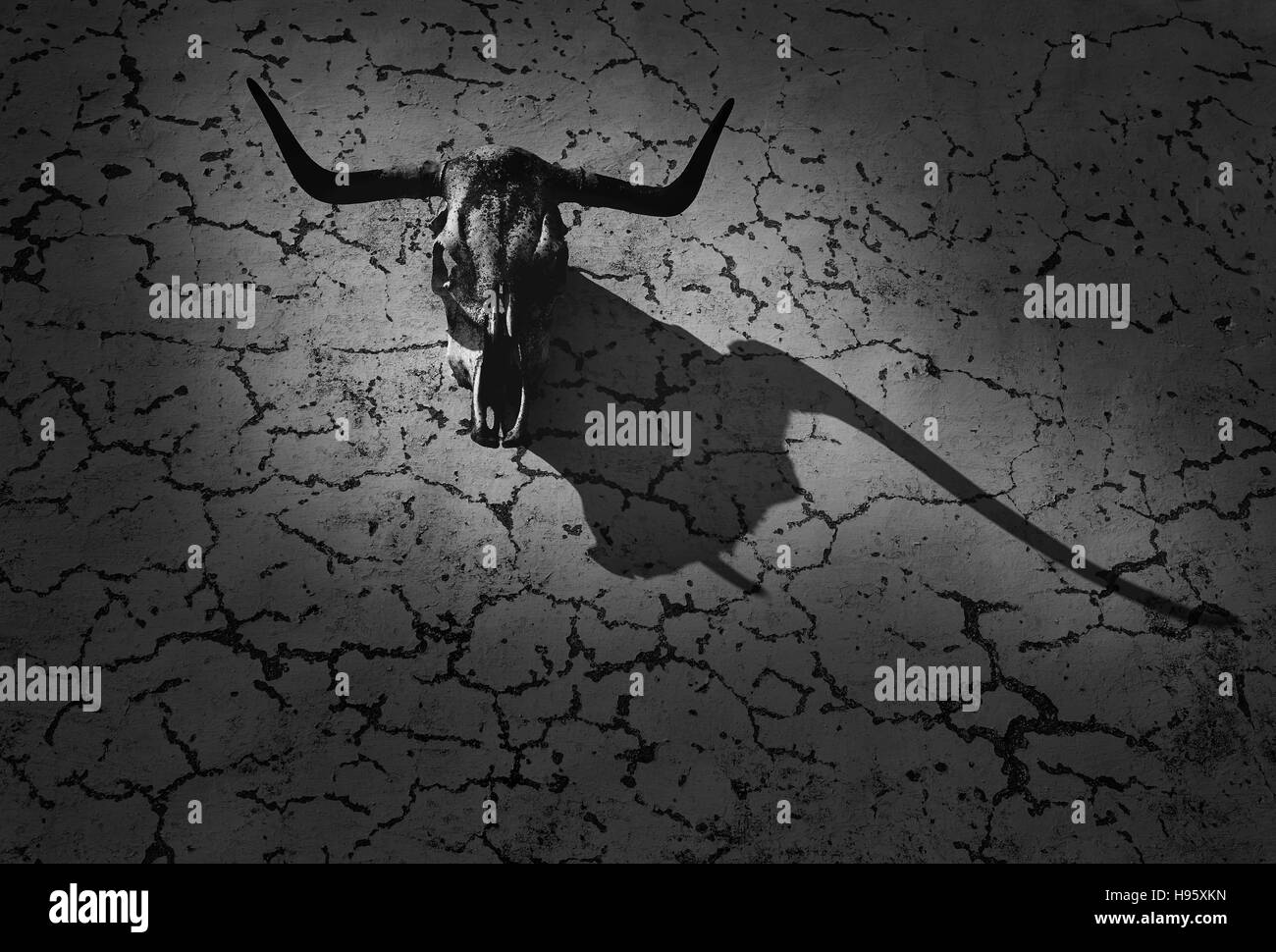 Bull Kopf Hörner Skelett in einer Wand mit Schatten Stockfoto