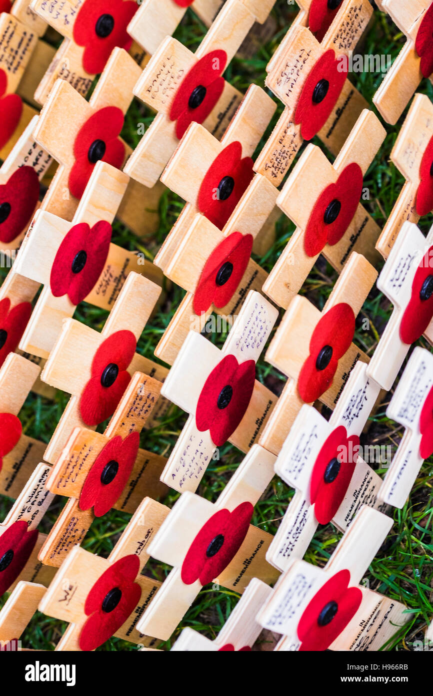 Remembrance Sunday, London, England, Großbritannien Stockfoto