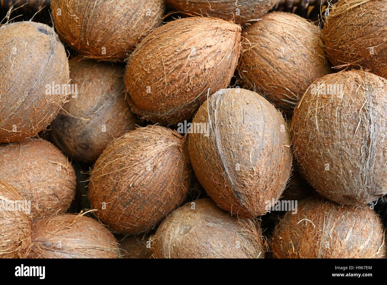 Gruppe von kleinen ganze Frische braune Kokosnüsse auf Retail-Markt, Nahaufnahme, hoher Winkel Stockfoto