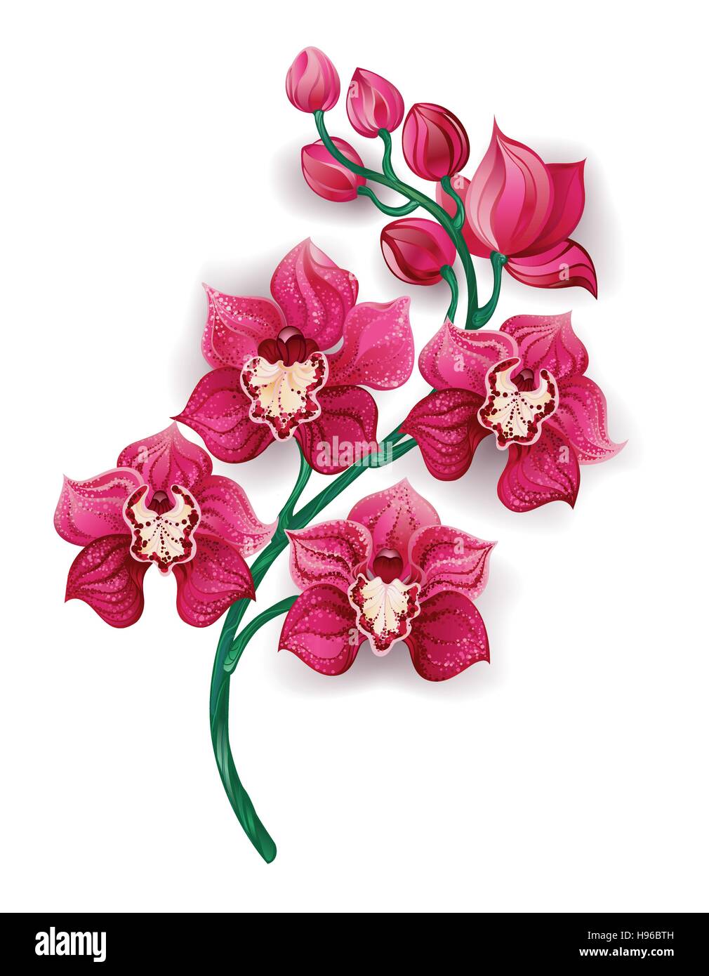 Zweig, kunstvoll bemalte ein helles rosa Orchideen auf weißem Hintergrund. Design mit Orchideen. Stock Vektor