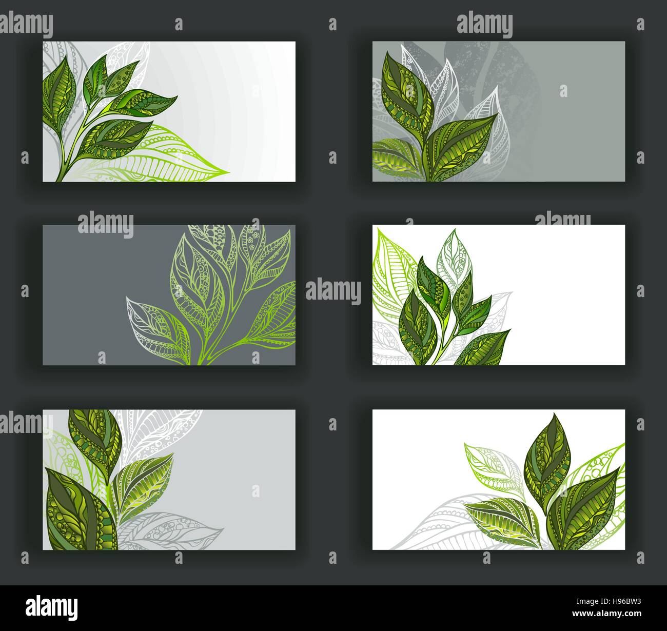Set von Visitenkarten, dekoriert gemustert Sprossen und Blätter des Tees. Tee-Design. Stock Vektor