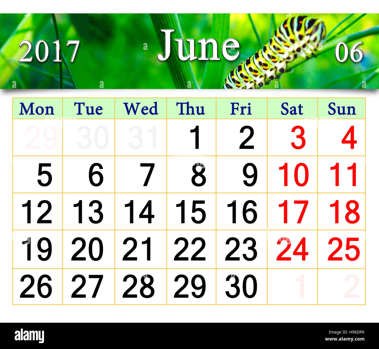 Kalender für Juni 2016 mit Caterpillar auf dem Ast Stockfoto