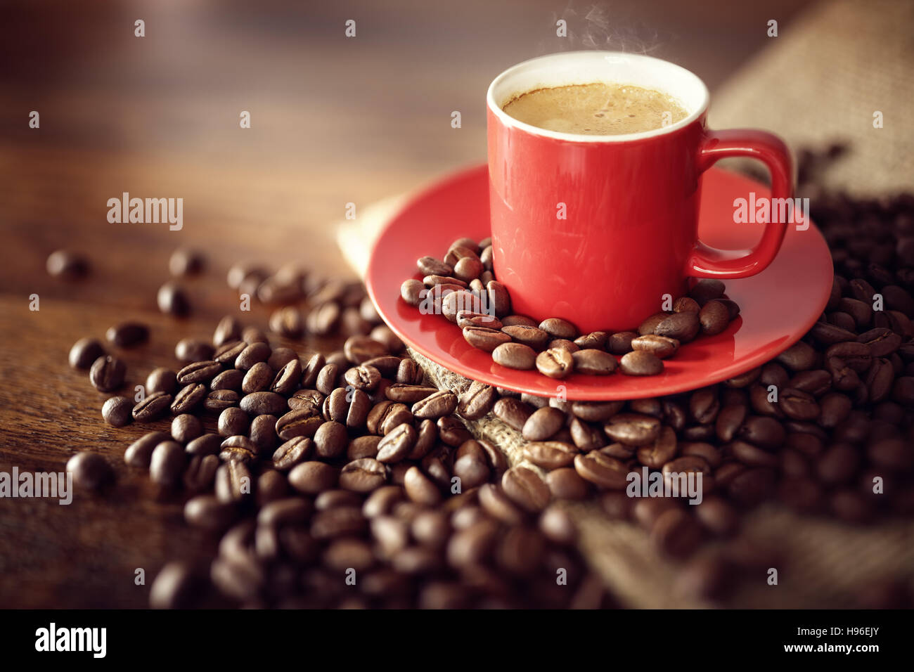 Kaffeetasse auf Leinensack mit gerösteten Bohnen Stockfoto
