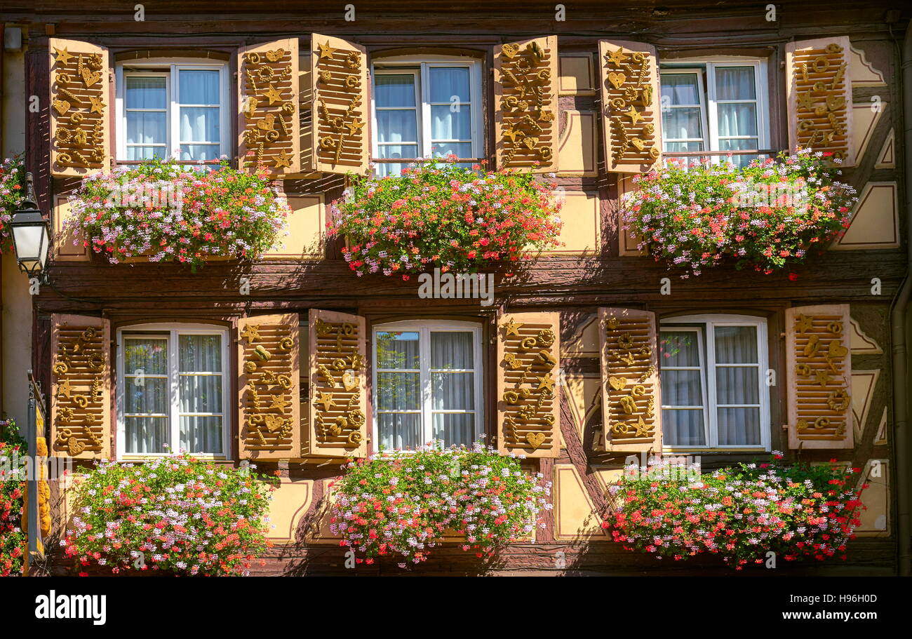 Fensterdekoration Blume, Altstadt von Colmar, Frankreich Stockfoto