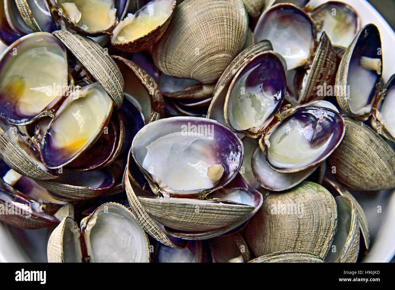 Ein Bogen mit Manila leeren Muschelschalen gefüllt Stockfoto