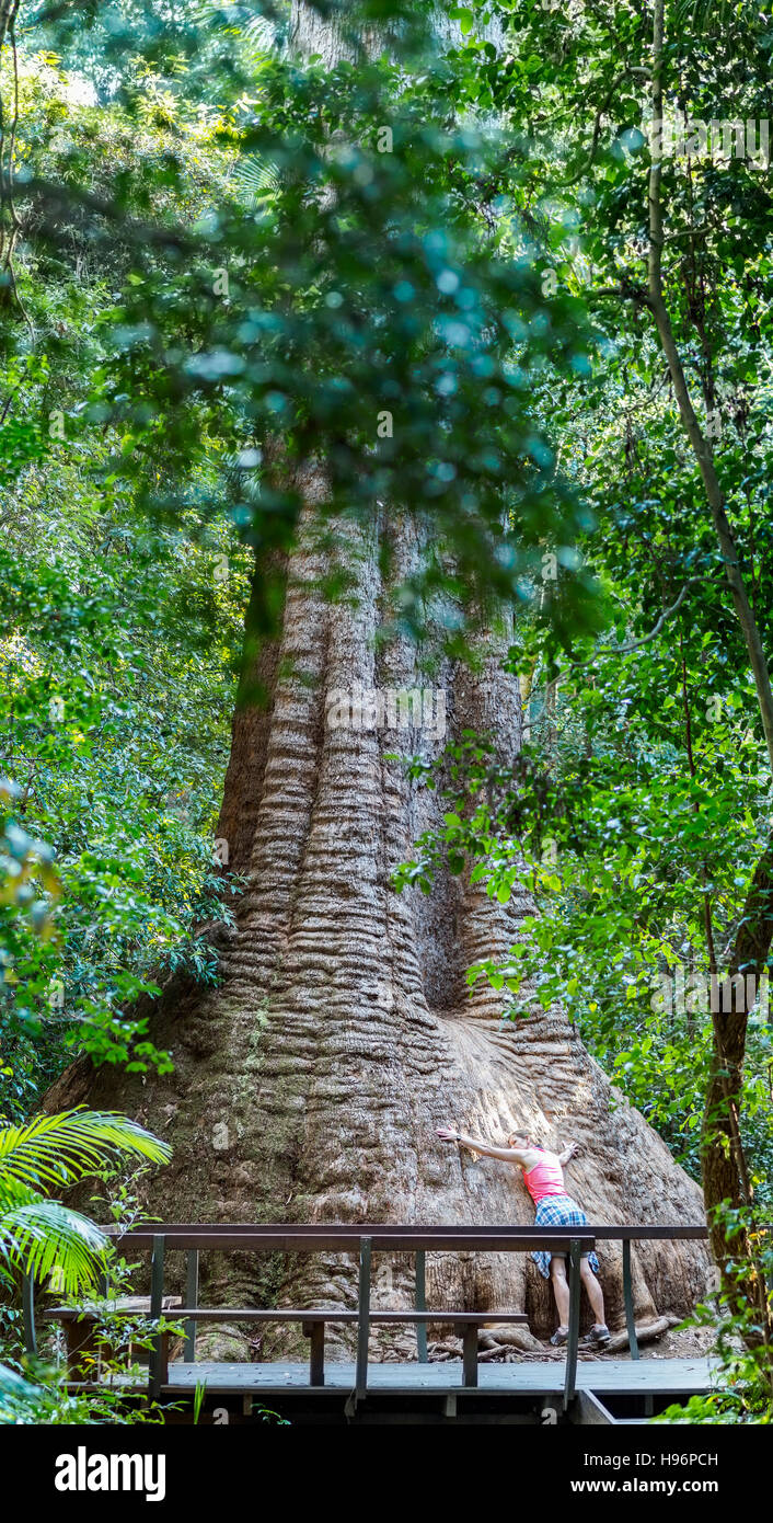 Australien, New South Wales, Port Macquarie, Reife Frau an gigantischen Baum gelehnt Stockfoto