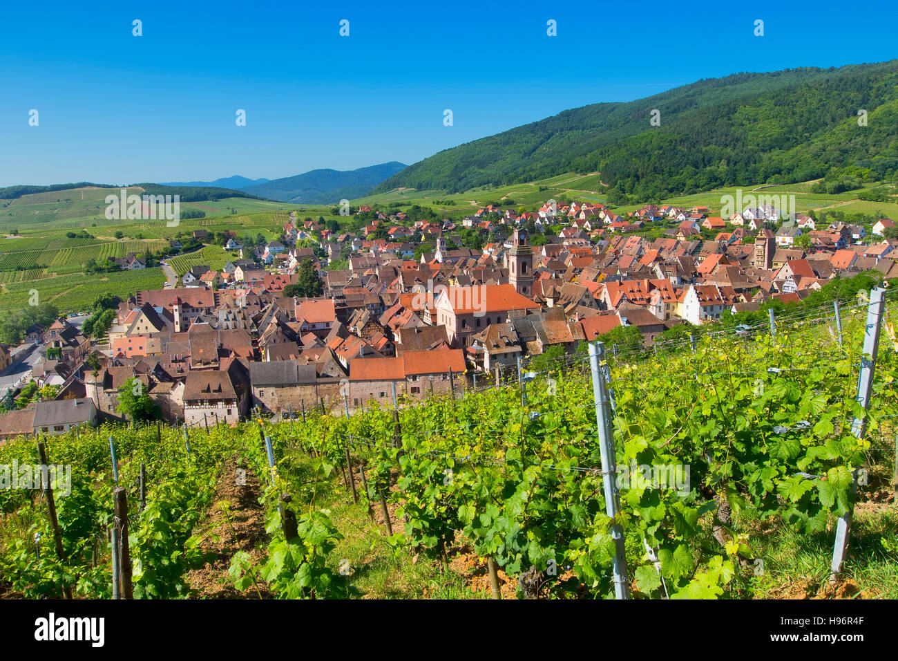 Das Dorf von Riquewihr im Elsass/Frankreich Stockfoto