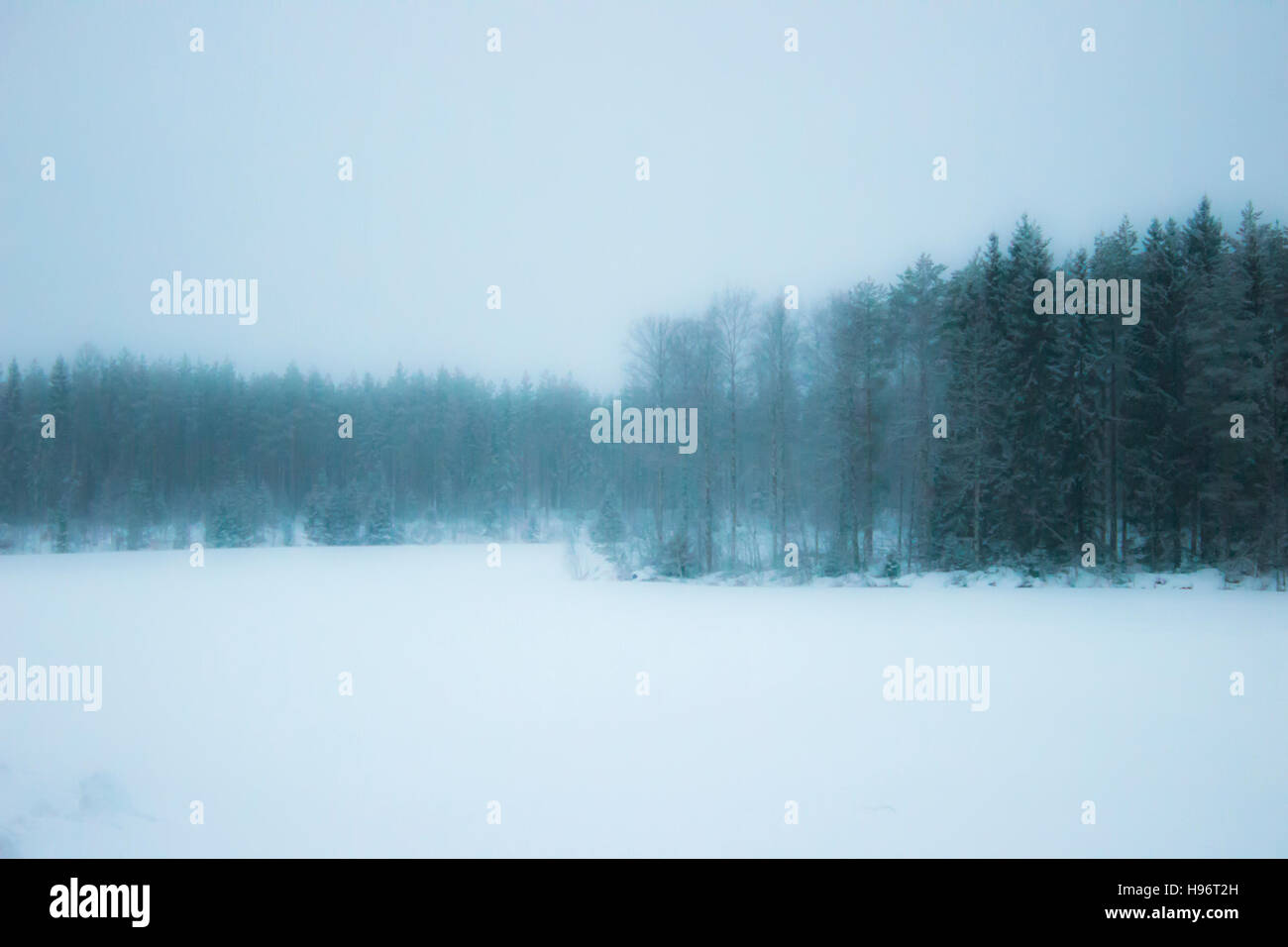 Winternebel Stockfoto