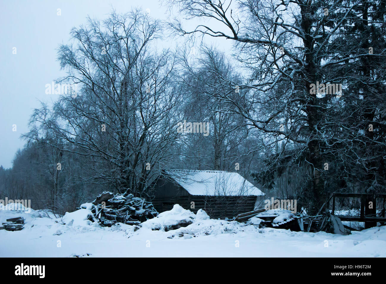 Winter-Waldhaus Stockfoto