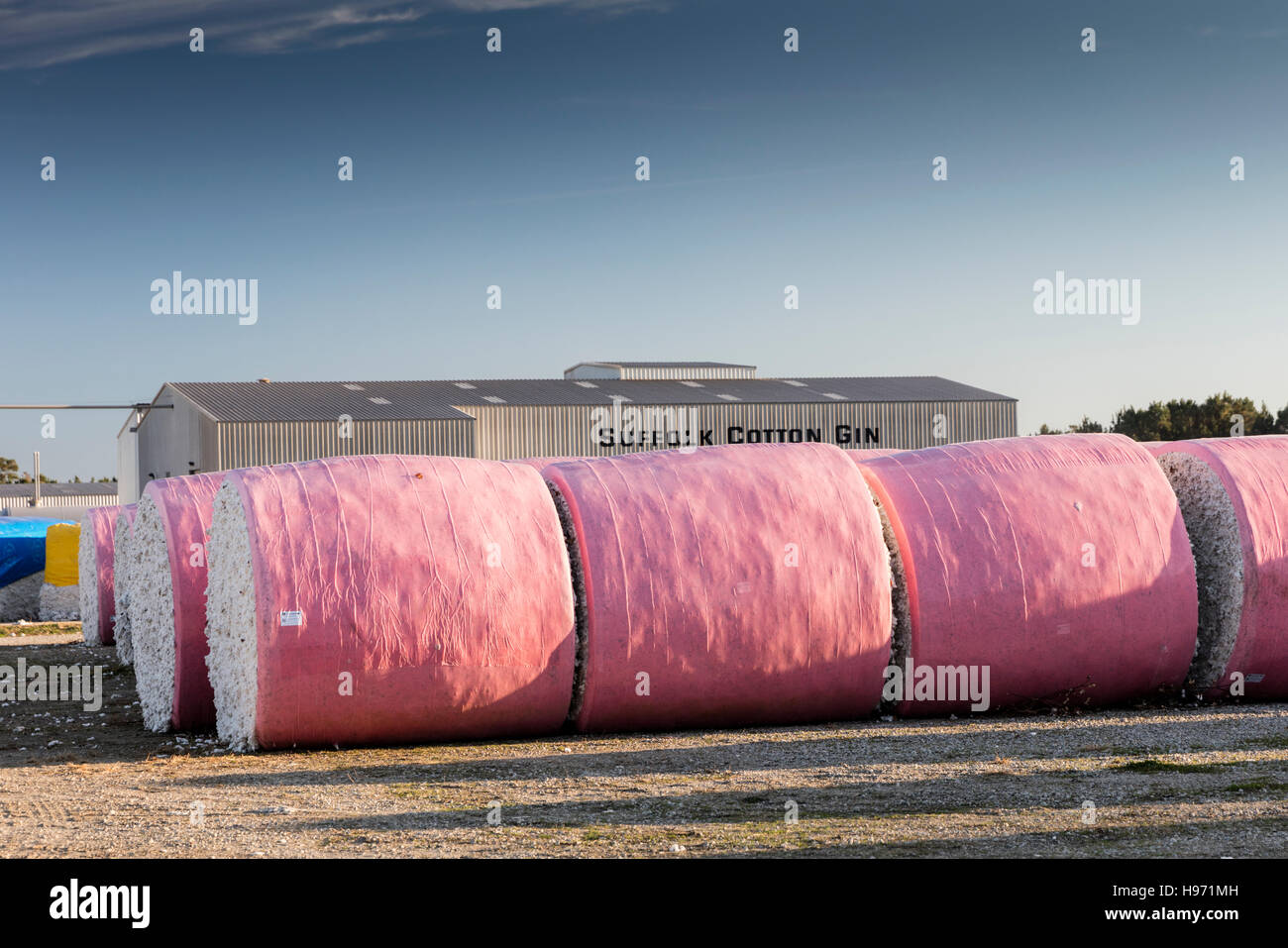 Bunte Plastik eingewickelt Rollen der geernteten Rohbaumwolle erwarten Verarbeitung in Suffolk Cotton Gin, Suffolk, Virginia Stockfoto