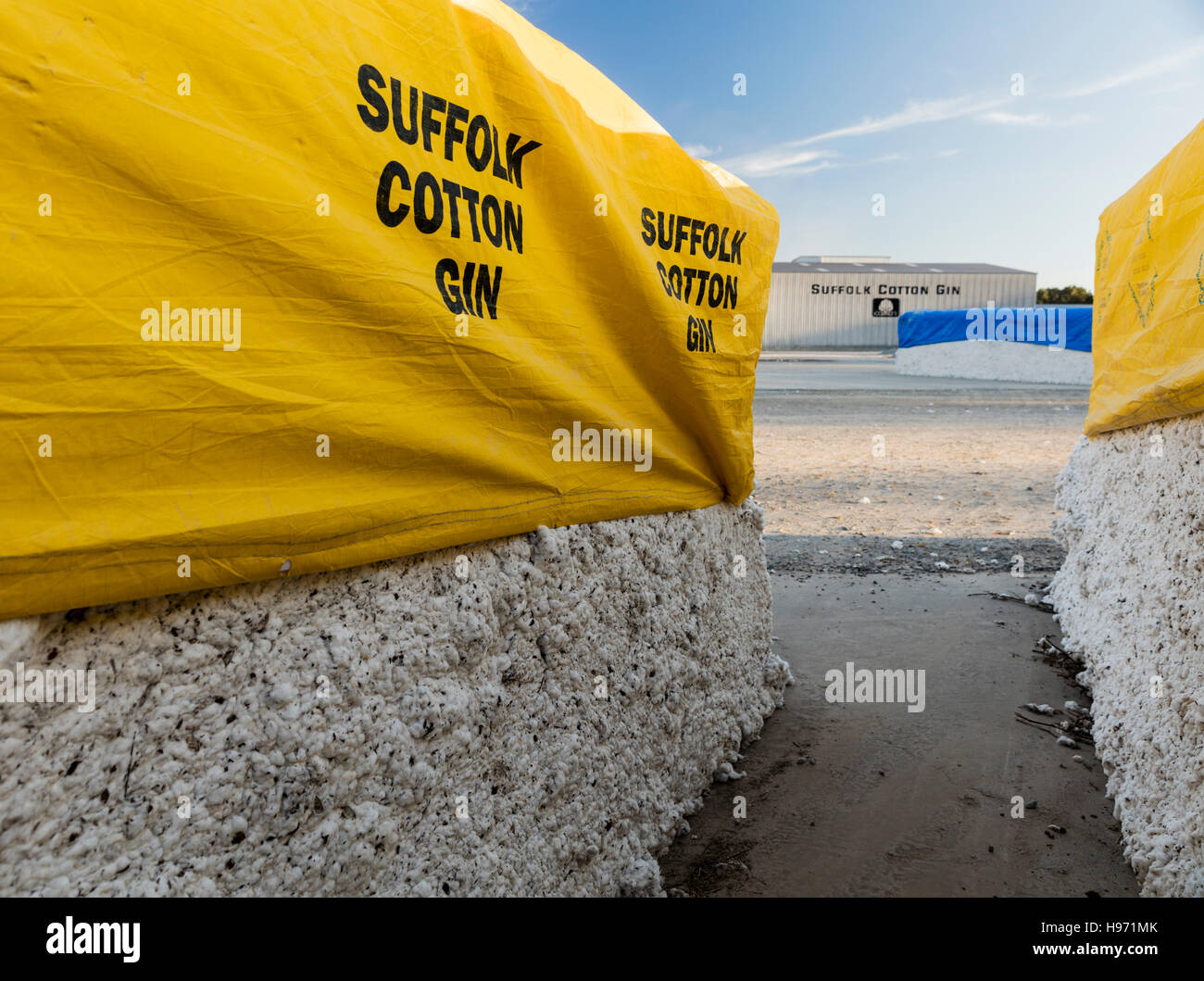 Plane abgedeckt geernteten Rohbaumwolle erwarten Verarbeitung in Suffolk Cotton Gin, Suffolk, Virginia Stockfoto