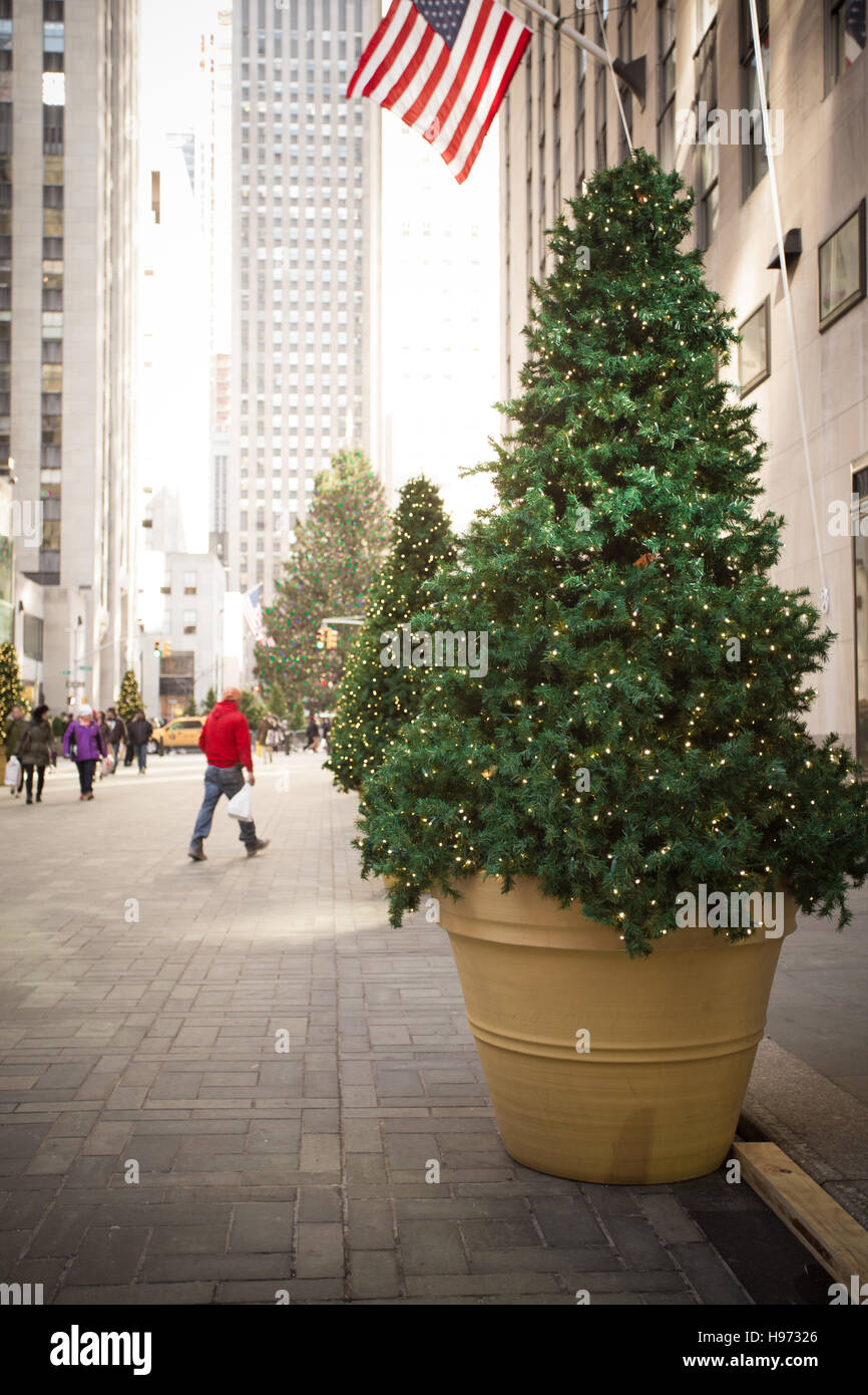Weihnachtsbäume schmücken Plaza in New York City bei Urlaubszeit Stockfoto