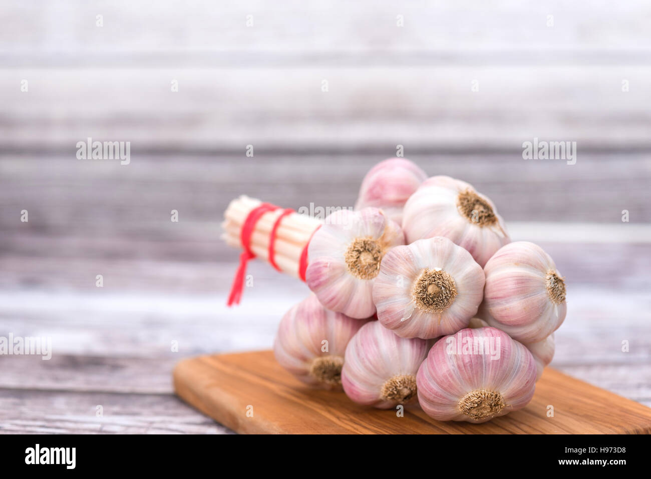 Frische Bündel von ganzen Knoblauch Zwiebeln mit Textfreiraum Stockfoto