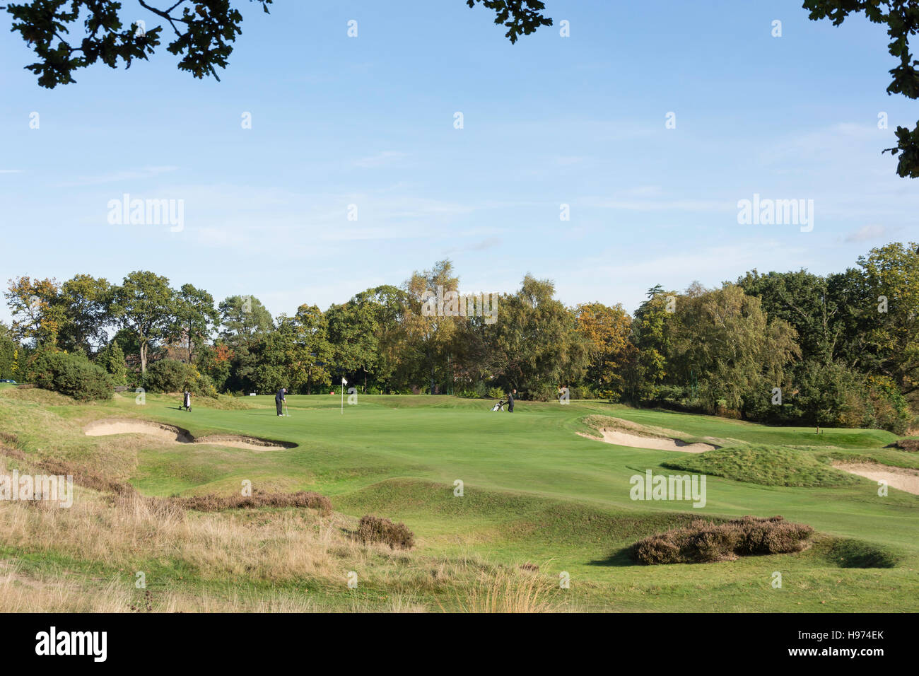 Green mit Bunker, Sunningdale Golf Course, Sunningdale, Berkshire, England, Vereinigtes Königreich Stockfoto