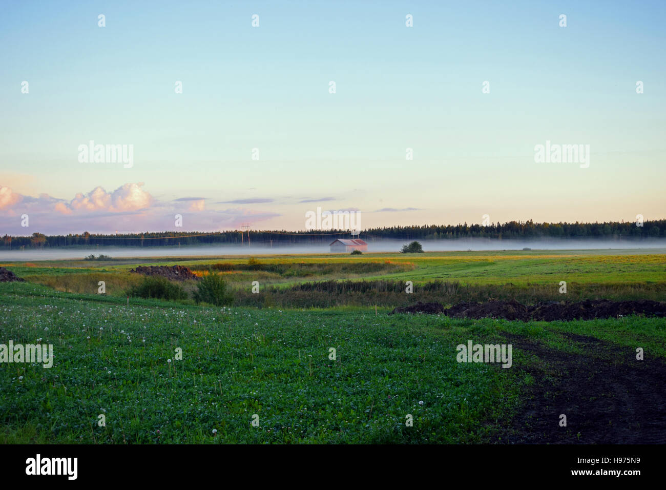 Feld kurz vor Sonnenuntergang mit Haze in Süd-Finnland Stockfoto