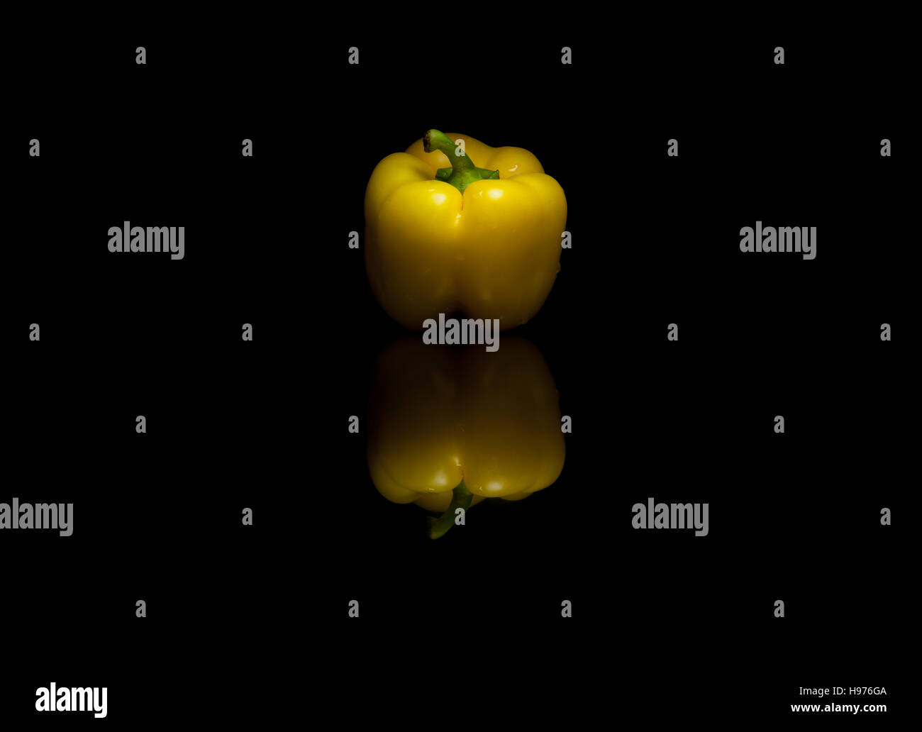 Ganz gelbe Paprika auf schwarzen reflektierenden Hintergrund isoliert Stockfoto
