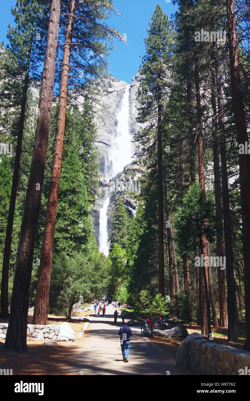 Yosemite Nationalpark, Kalifornien am Mai 2016. Stockfoto