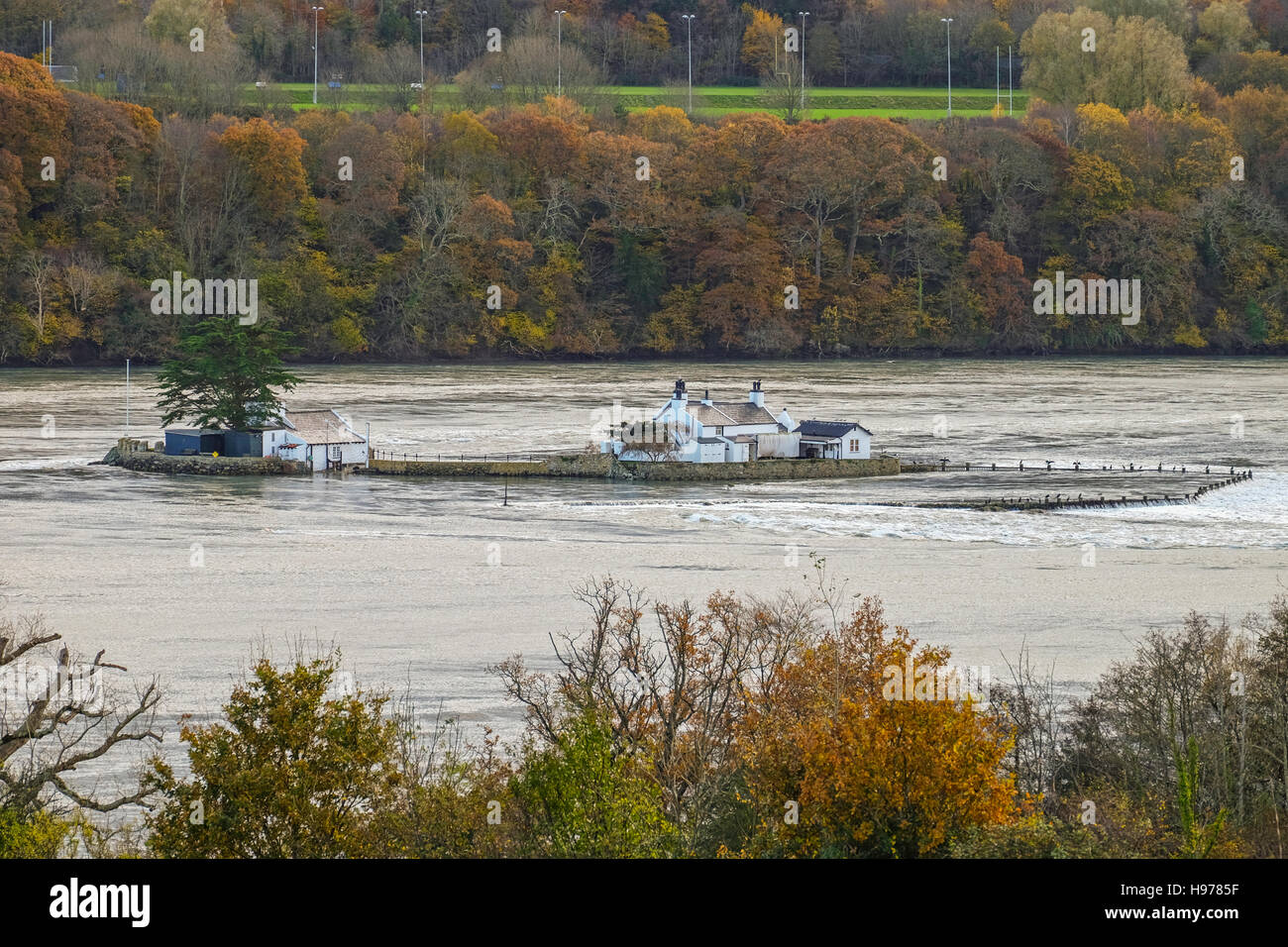Gored Goch Menai Straits Anglesey Nordwales. High Tide. Springflut. Herbst Farben Seelandschaft. Stockfoto