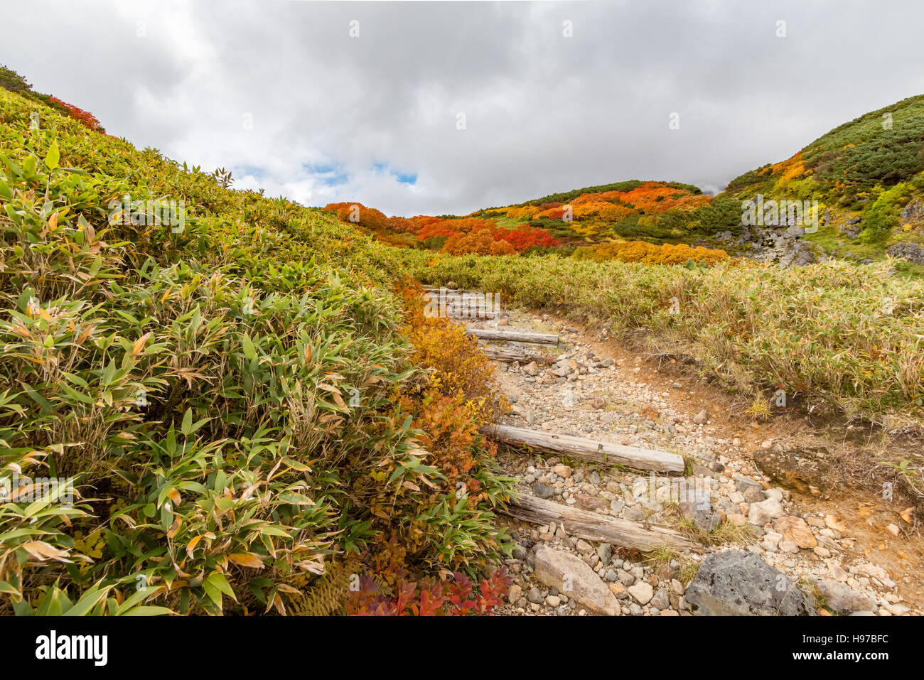 Wanderweg hinunter einen Berghang in Daisetsuzan, Hokkaido, Japan, in herbstlichen Farben Stockfoto