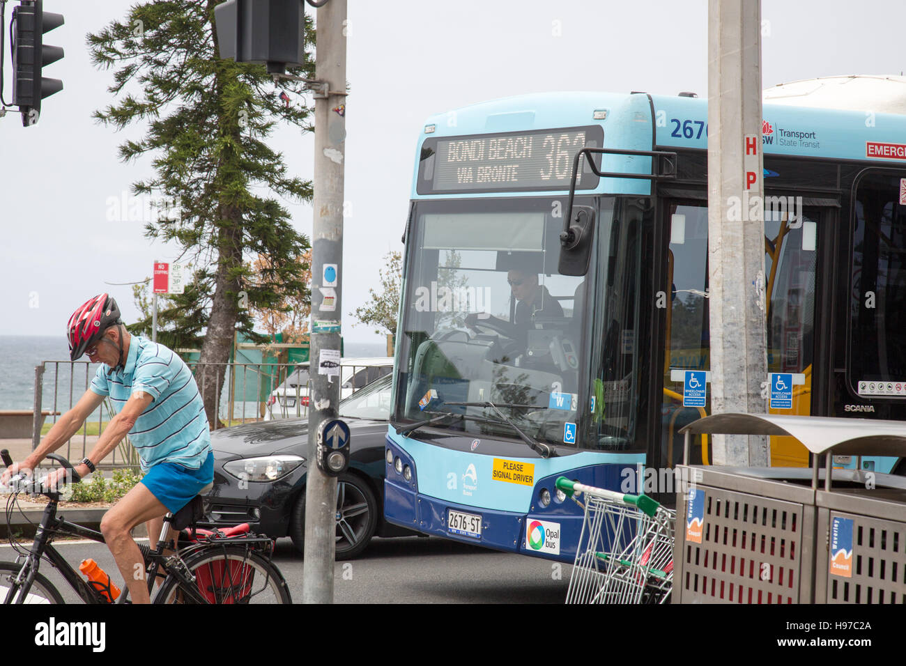 Radfahrer und ÖPNV Bus in Bondi Beach, Sydney, Australien Stockfoto