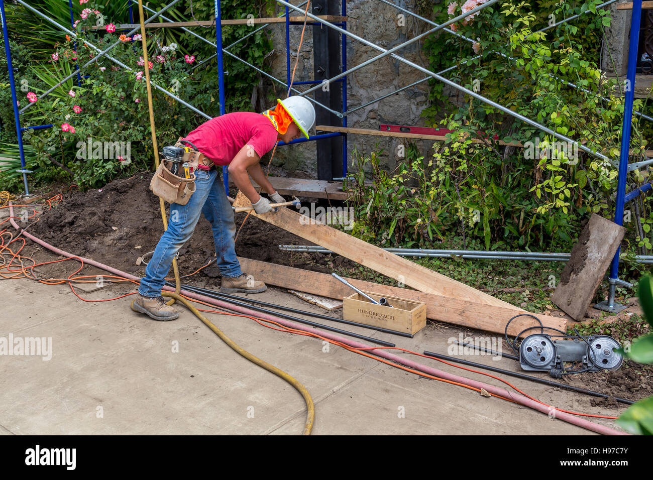 Bauarbeiter, Rutherford, Napa Valley, Napa County, Kalifornien Stockfoto