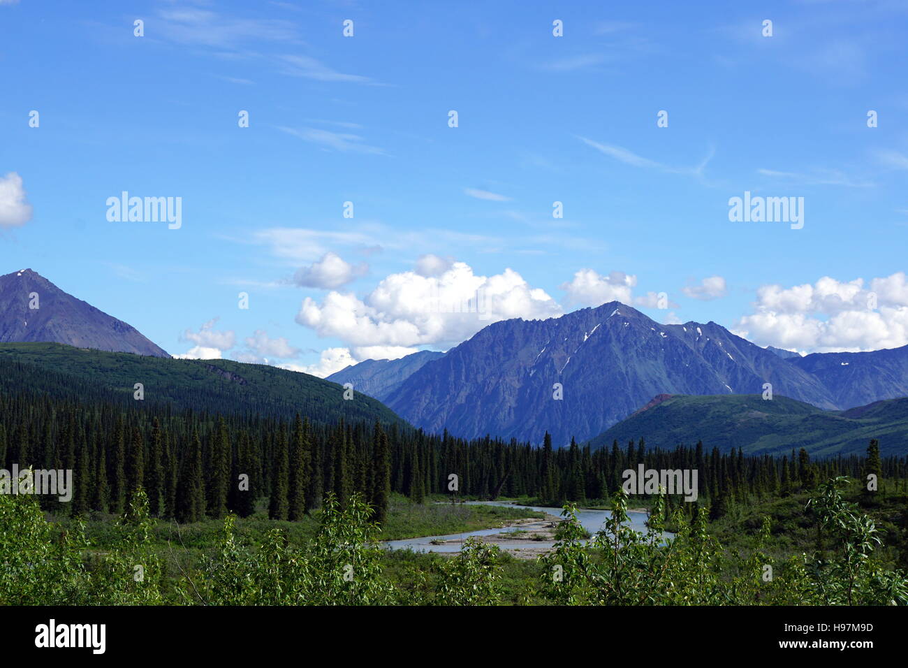 Denali National Park (Mount Mc Kinley), Alaska Stockfoto