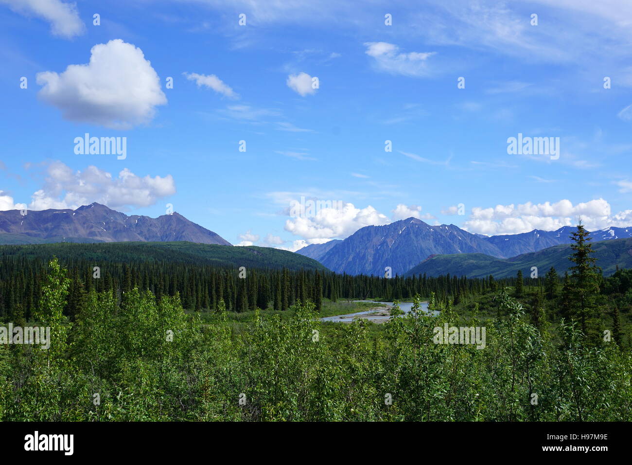 Denali National Park (Mount Mc Kinley), Alaska Stockfoto