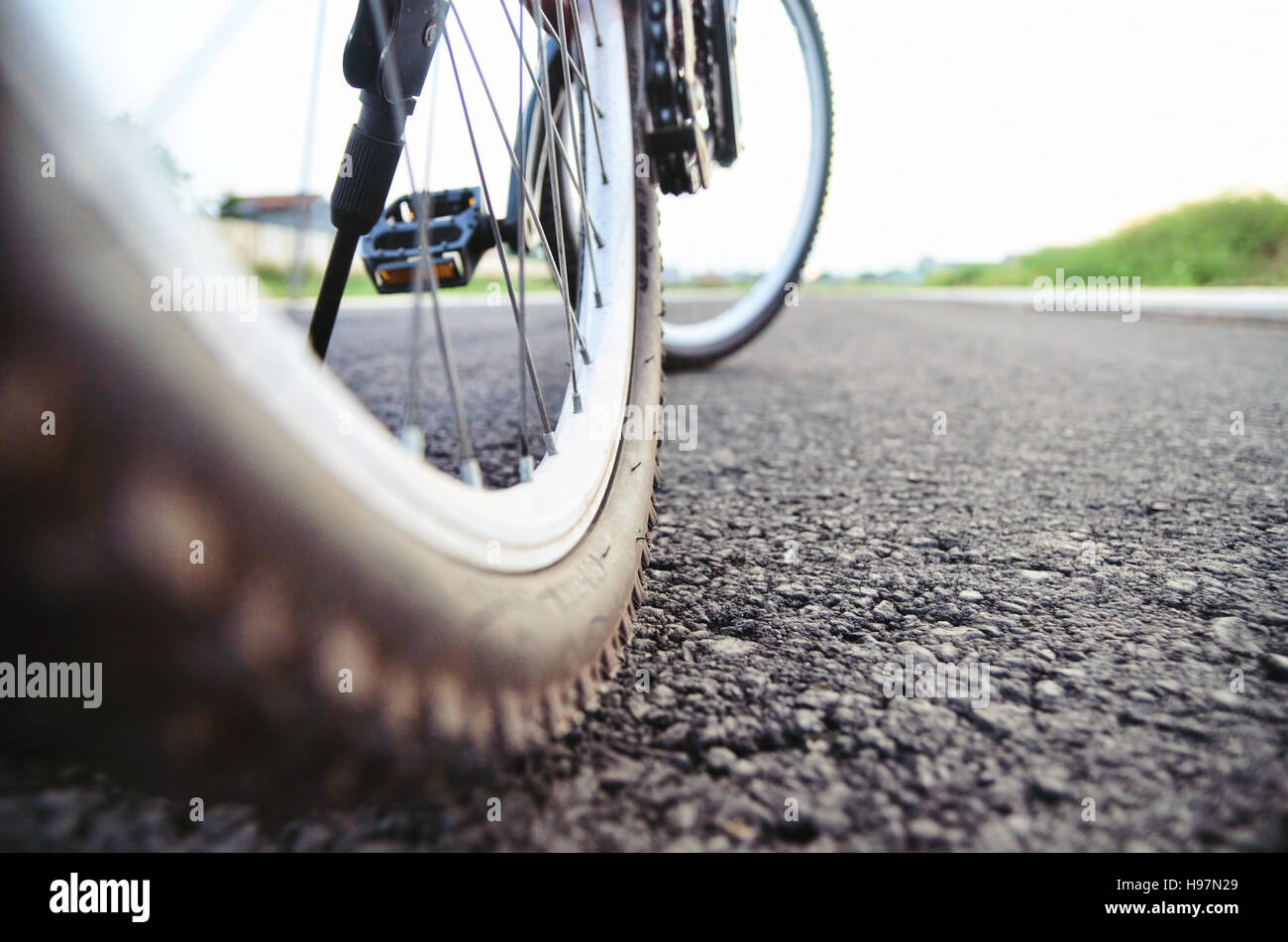 Fahrrad-Rad-Foto von hinten Stockfoto