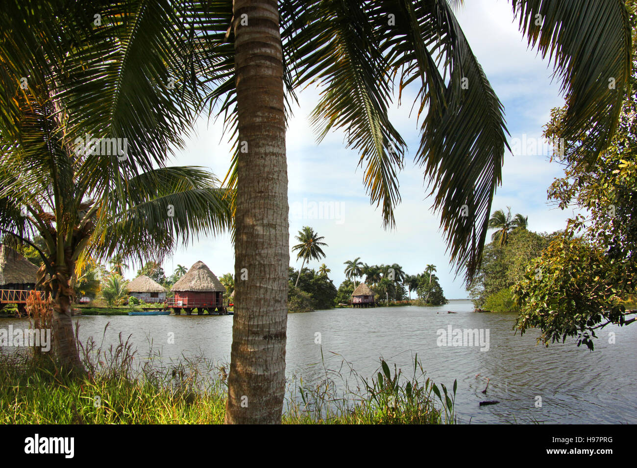 Wunderschöne Landschaft von kleinen Inseln mit traditionellen Strohhütte Häuser und Palmen, Guama, Kuba, Caribbean. Stockfoto Wunderschöne Landschaft von kleinen Inseln mit traditionellen Strohhütte Häuser und Palmen, Guama, Kuba, Caribbean. Stockfoto