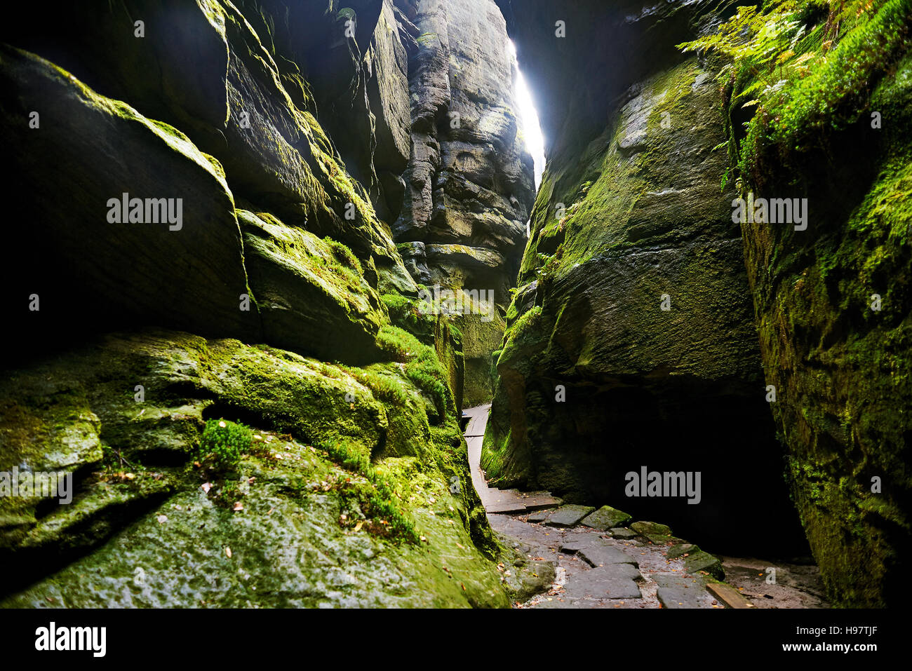 Fantastische Aussicht auf die grünen Canyon Sibirien. Teplice-Adersbacher Felsenstadt. Tschechische Republik. Künstlerischen Bild. Beauty-Welt. Stockfoto