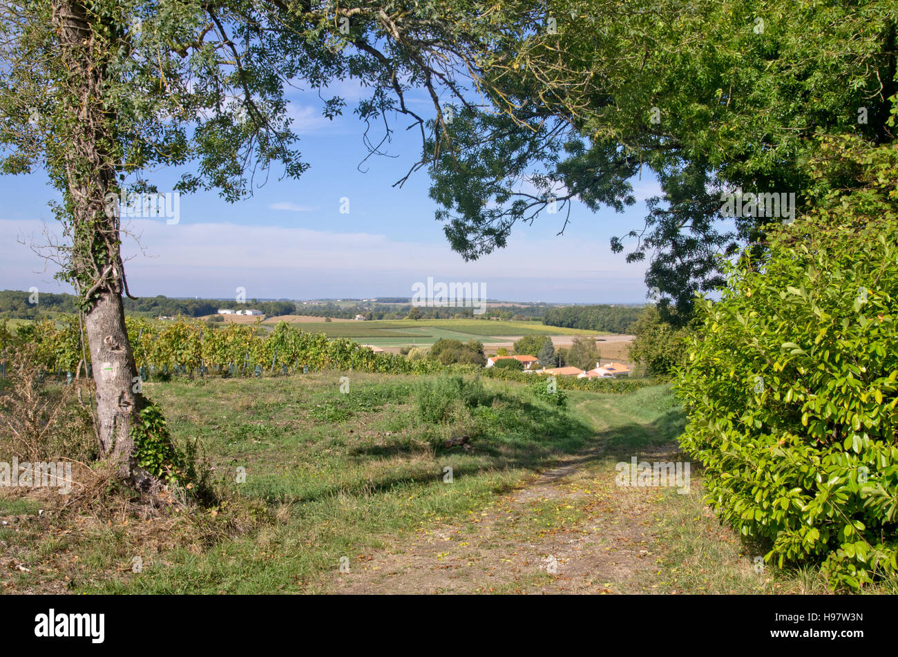 Charente-Landschaft Stockfoto