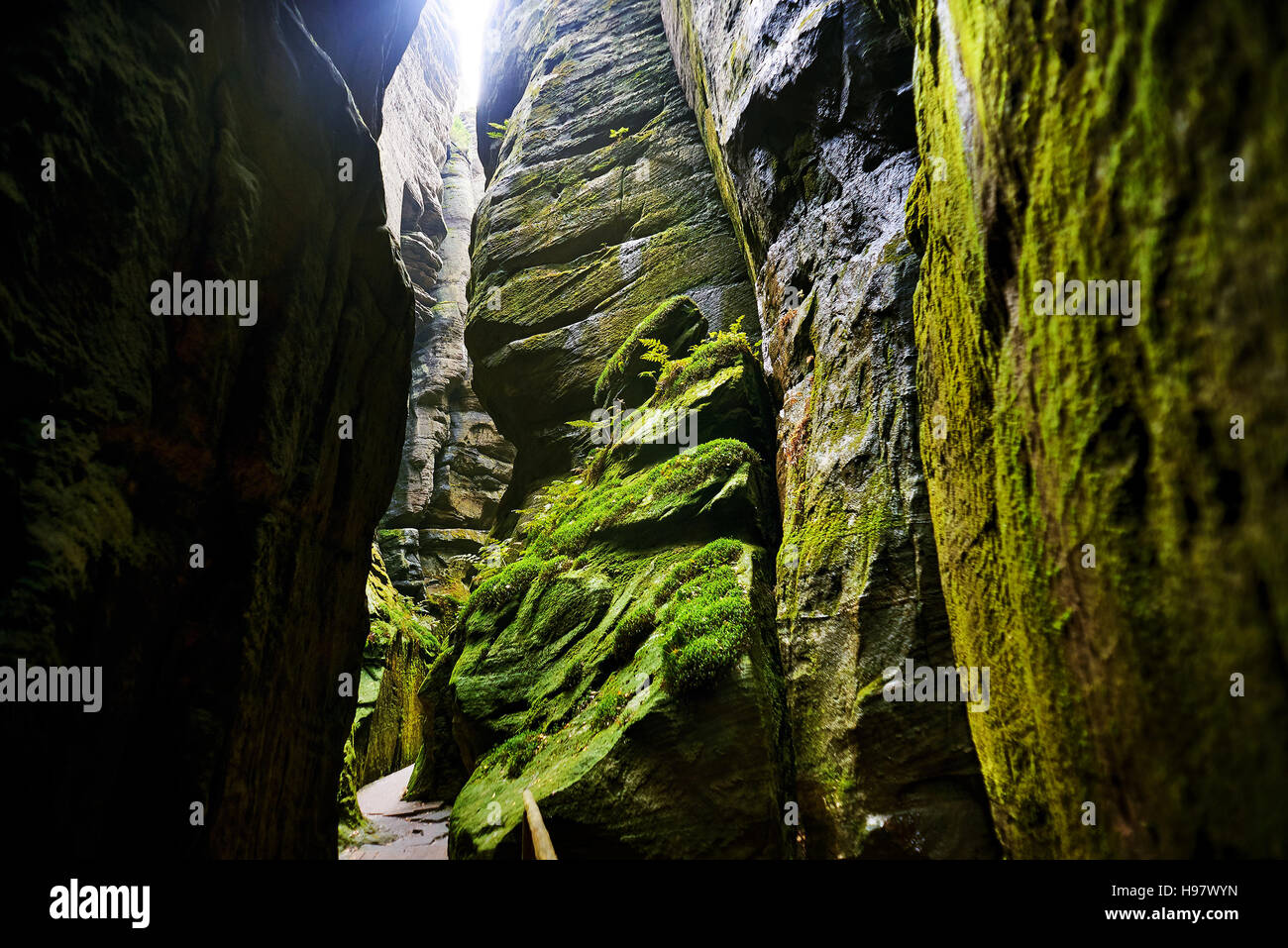 Fantastische Aussicht auf die grünen Canyon Sibirien. Teplice-Adersbacher Felsenstadt. Tschechische Republik. Künstlerischen Bild. Beauty-Welt. Stockfoto