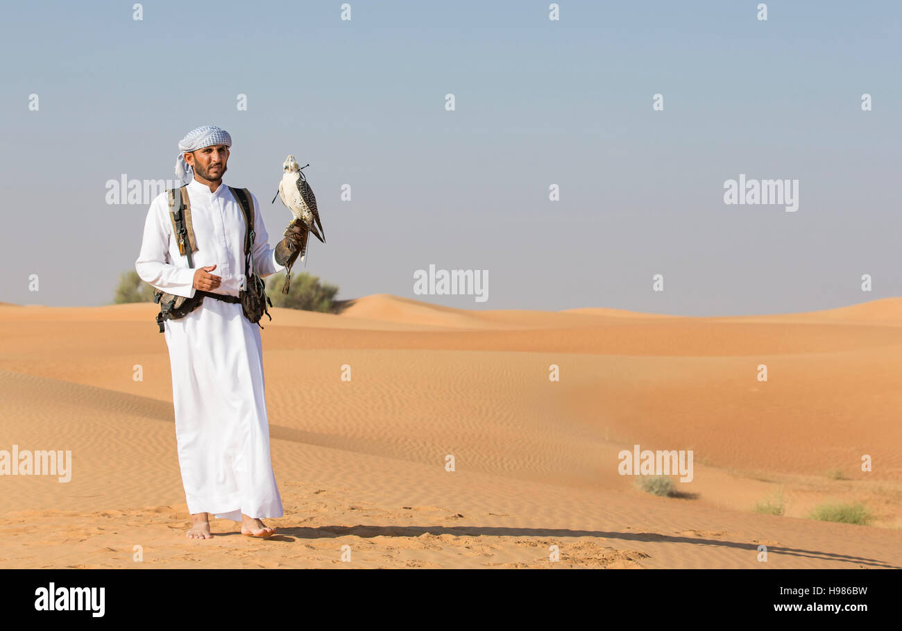Dubai, Vereinigte Arabische Emirate, 19. November 2016: Ein Falkner in traditioneller Kleidung, Ausbildung ein Wanderfalke (Falco Peregrinus) Stockfoto