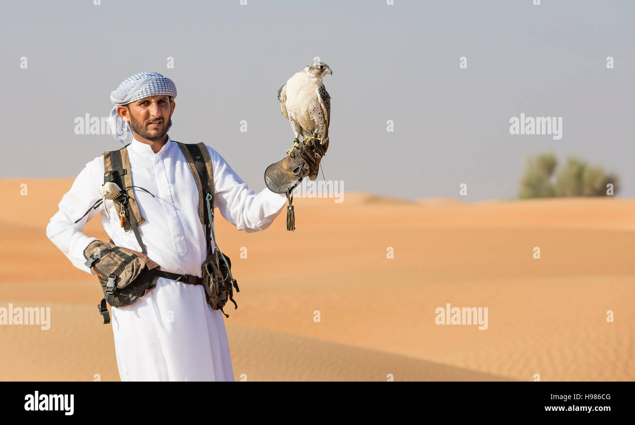 Dubai, Vereinigte Arabische Emirate, 19. November 2016: Ein Falkner in traditioneller Kleidung, Ausbildung ein Wanderfalke (Falco Peregrinus) Stockfoto