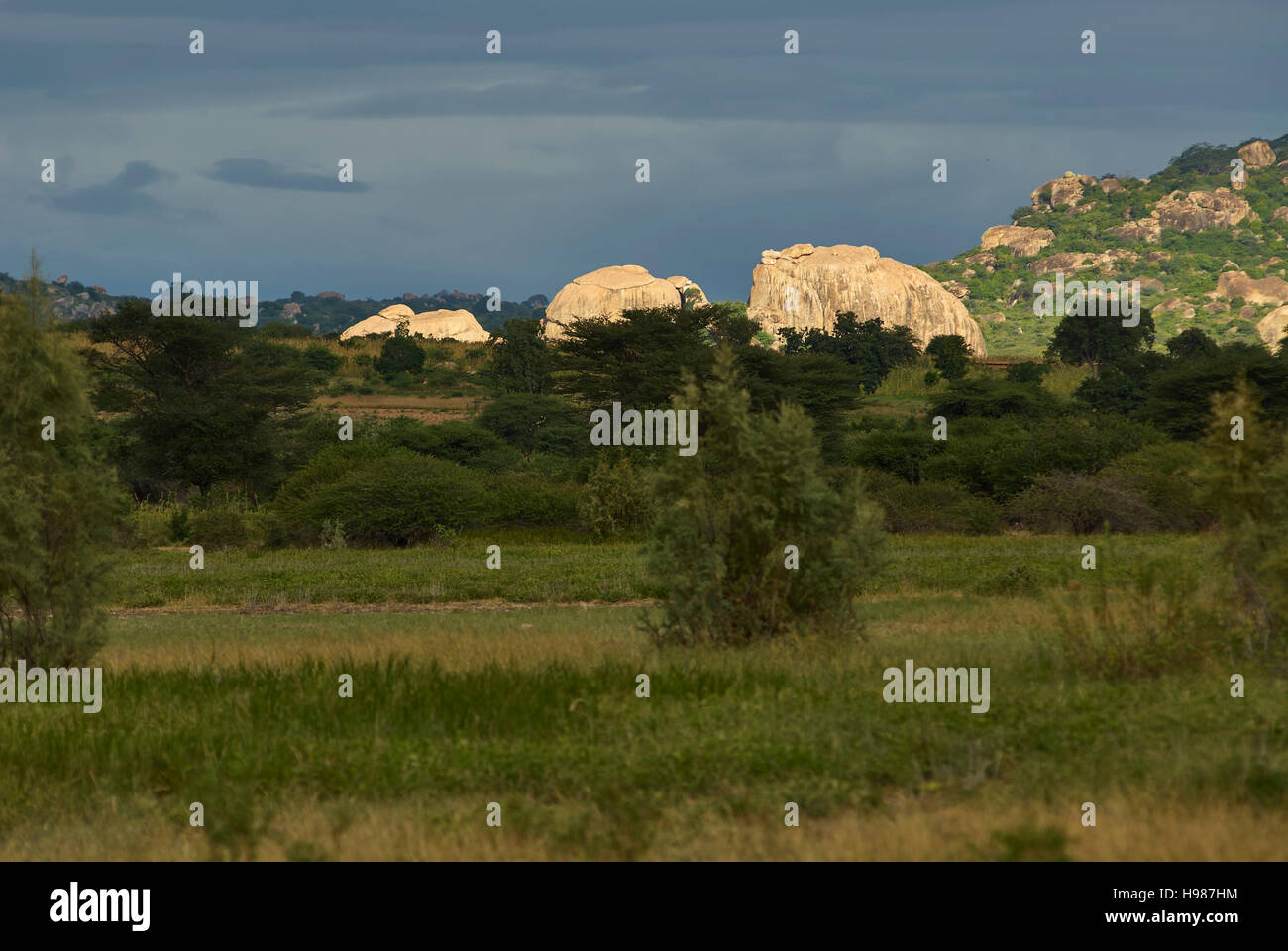 Bizarre Felsen Glühen in der späten Nachmittag Sonne, zentralen Tansania Stockfoto