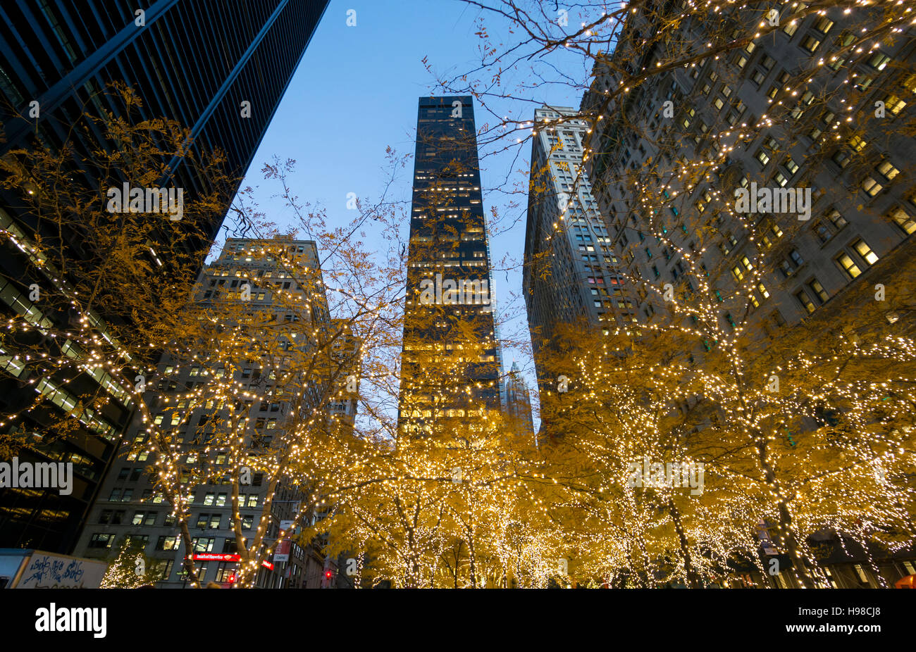 Weihnachtsbeleuchtung in Zuccotti Park in der Financial District von New York City Stockfoto