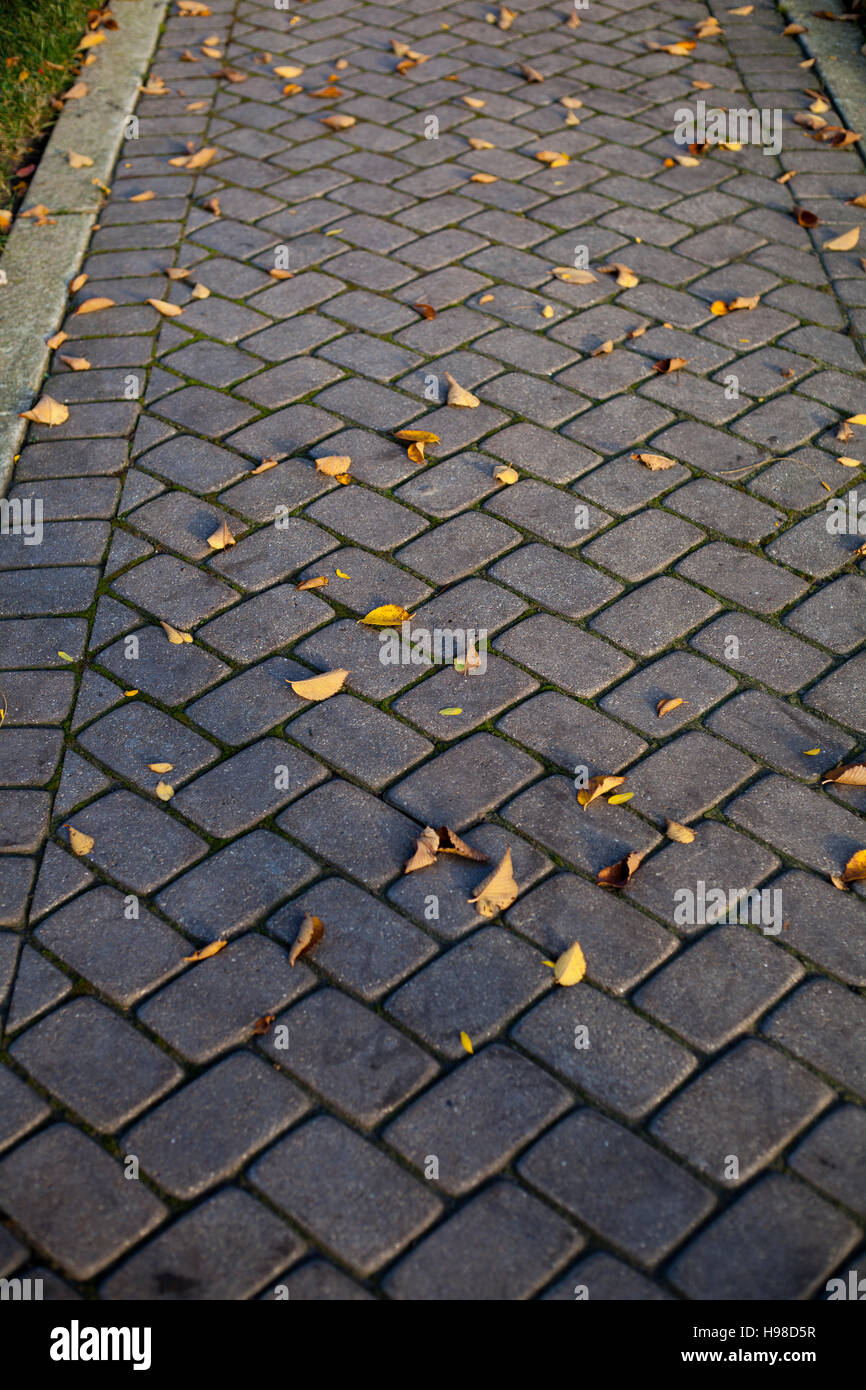 Brick Weg mit Herbst lleaves Stockfoto