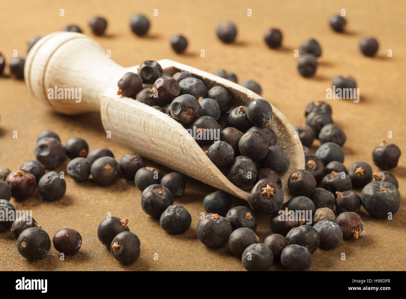 Wacholderbeeren Stockfoto