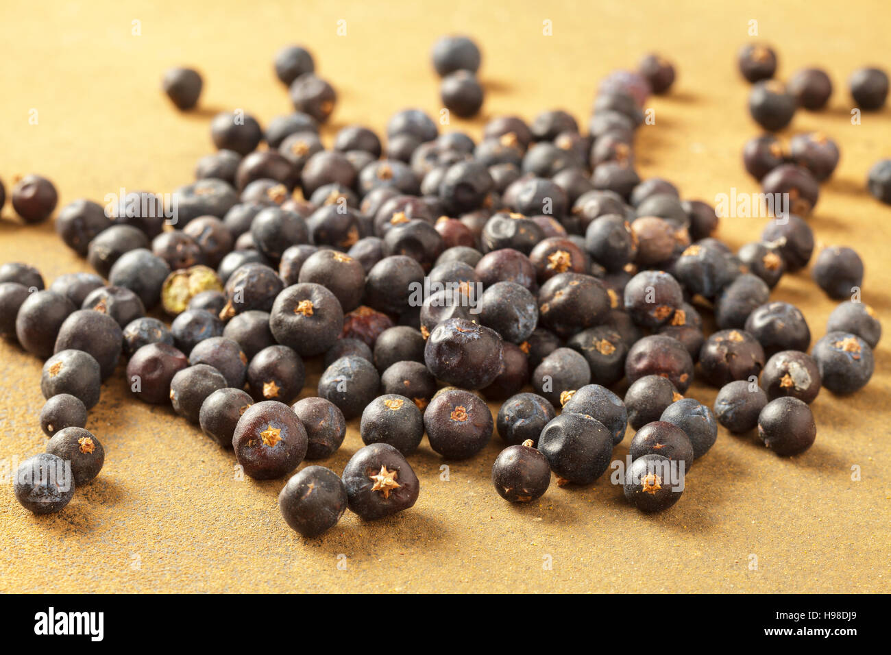 Wacholderbeeren Stockfoto