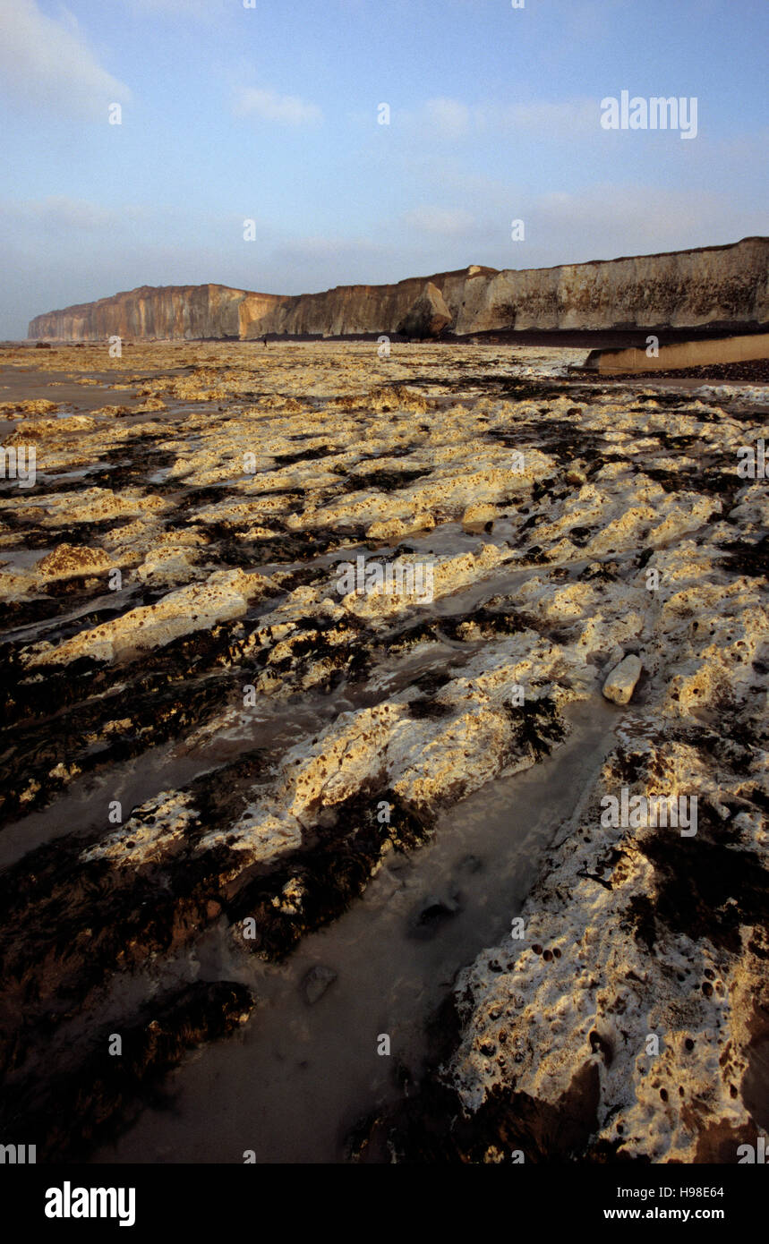 Strand in der Nähe von Veules Les Roses, Normandie, Frankreich Stockfoto