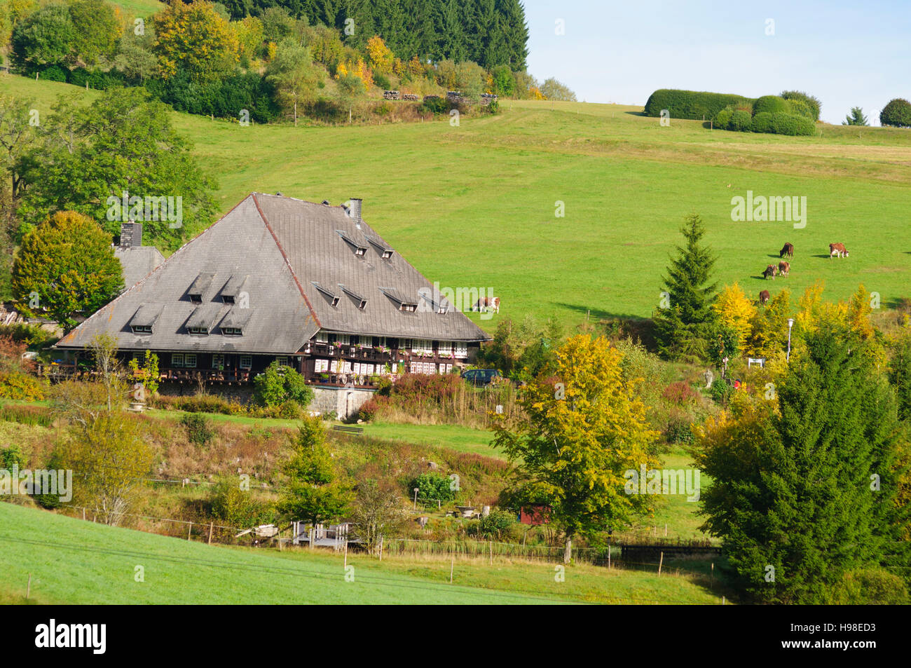 Furtwangen Im Schwarzwald: typisch Schwarzwald Haus, Schwarzwald, Schwarzwald, Baden-Württemberg, Deutschland Stockfoto