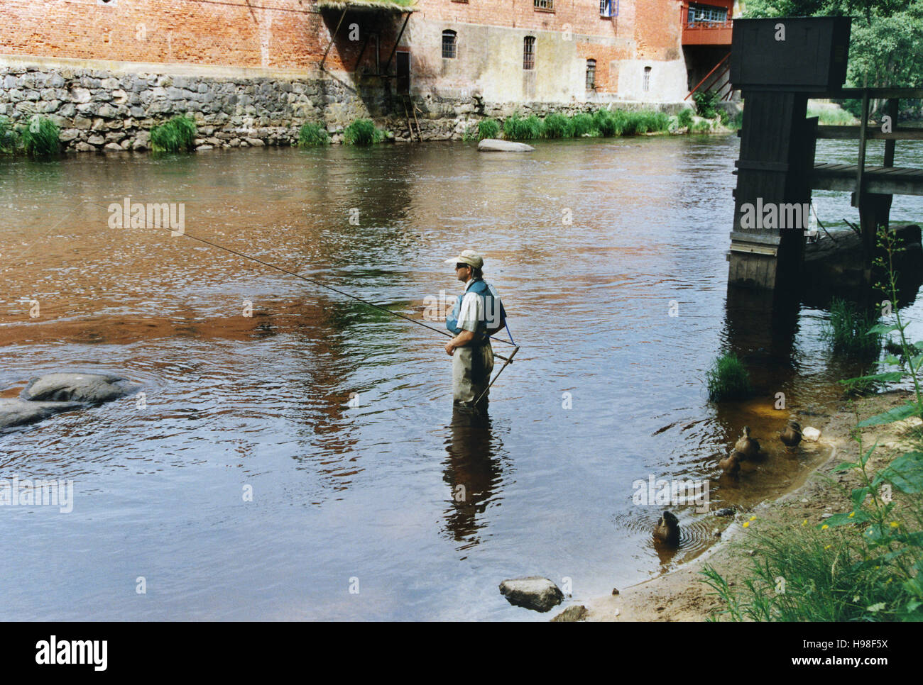 Fliegenfischen auf Lachs Stockfoto