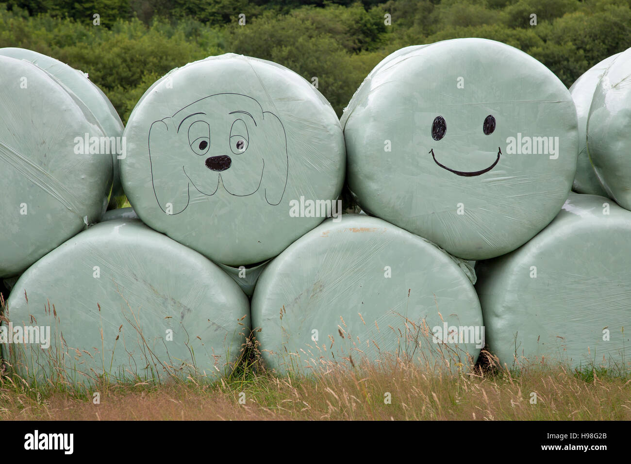 Smiley-Gesichter auf Heuballen Stockfoto