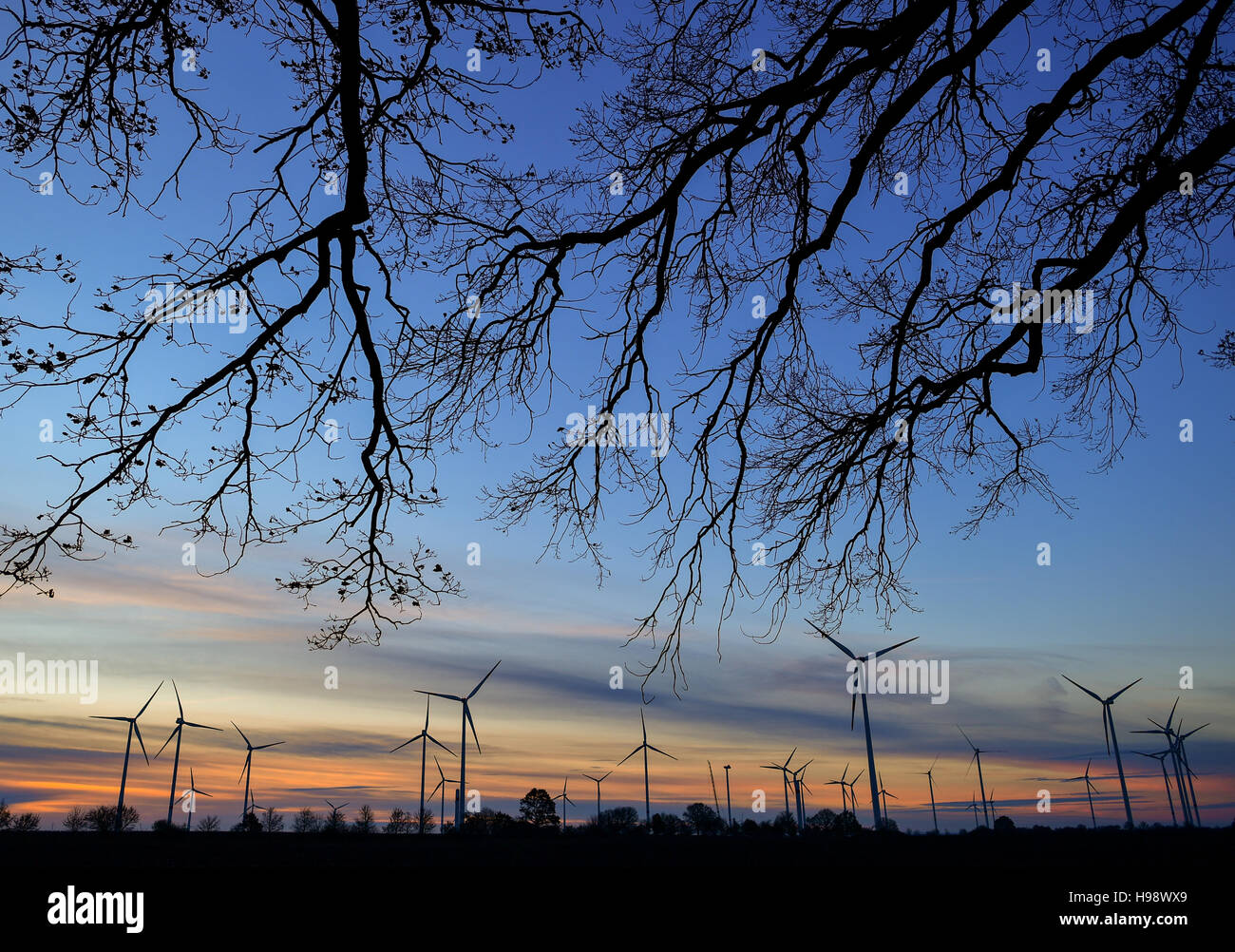 Die Morgensonne, die Färbung der Wolken am Himmel über Sieversdorf, Deutschland, 20. November 2016. Foto: PATRICK PLEUL/dpa Stockfoto