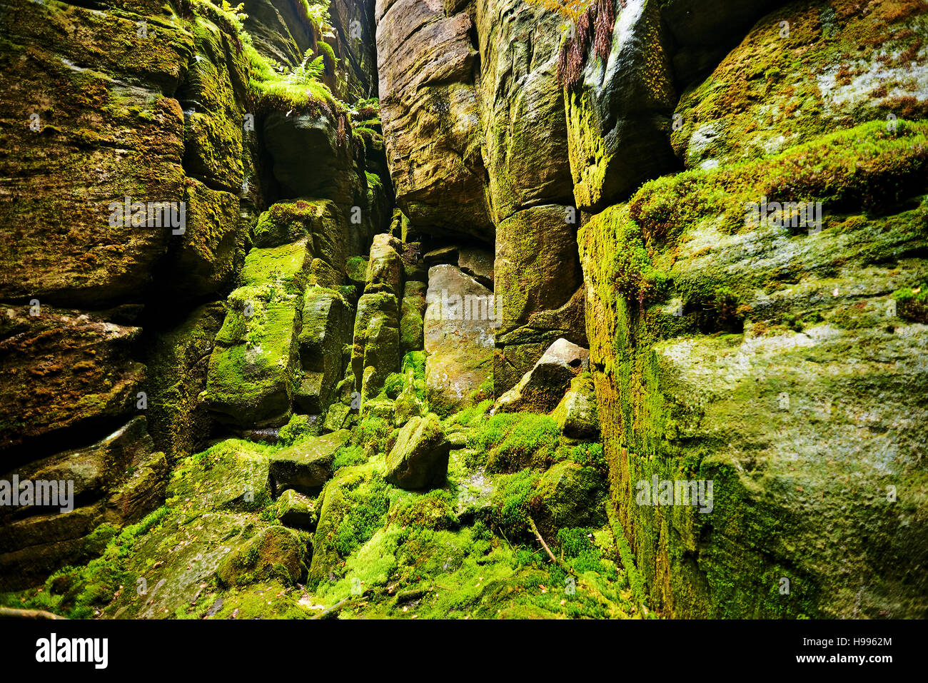 Fantastische Aussicht auf die grünen Canyon Sibirien. Teplice-Adersbacher Felsenstadt. Tschechische Republik. Künstlerischen Bild. Beauty-Welt. Stockfoto