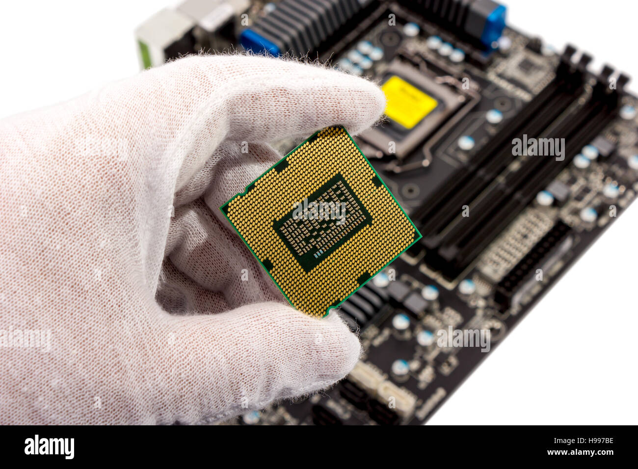 Elektronische Sammlung - der Mechaniker halten Computer-Prozessor in der hand vor dem Einbau in die Hauptplatine Stockfoto
