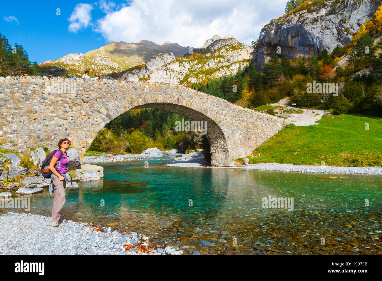 Ara-Fluss und romanische Brücke. Stockfoto